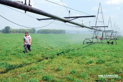 Ria Kalmykia - programe agricole