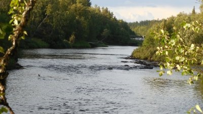 Pescuitul pe Peninsula Kola