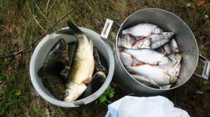 Horgászat a kréta kőbányák, fishbook