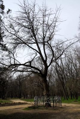 Grădinile și timpul - geniul locului