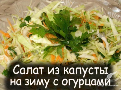 Salata de varza cu castraveti pentru iarna