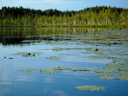 Cele mai frumoase locuri din regiunea Tomsk (fotografie)