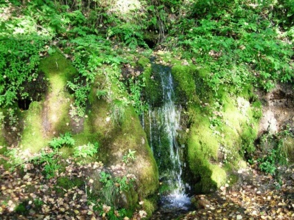 A legszebb hely a Tomszk régióban (fotó)