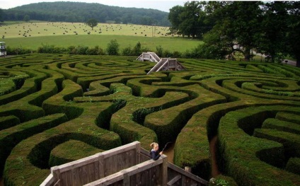 Cel mai lung labirint din lume, alături de conacul longlat (longleat)