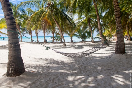 Saona și steaua de mare (saona) Saona și steaua de mare