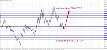 Rețea de tranzacționare a comenzilor de plasă la Forex