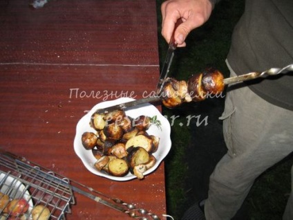 Shish kebab din ciuperci de pădure cu cartofi tineri