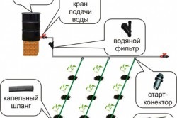 Sistem de irigare în irigarea prin picurare cu efect de seră, stropire