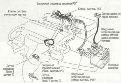 Sistem de recuperare a vaporilor de combustibil (evap)