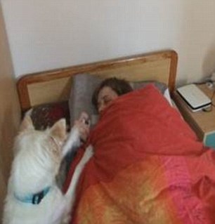 Un câine îi ajută pe un pacient cu narcolepsie să se trezească la timp
