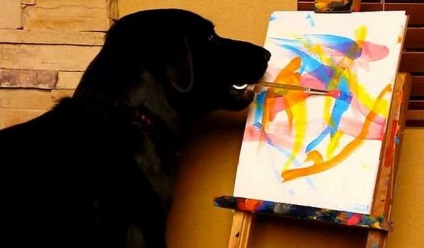 Câinele desenează imagini, imagini cognitive și interesante ale unor imagini amuzante