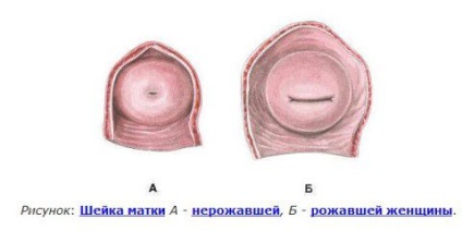 Reducerea uterului după naștere pentru cât timp durează și cum se accelerează, senzații, normă de timp