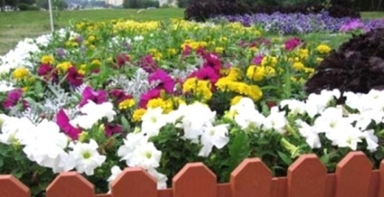 Crearea de grădini de flori pe site crează frumusețe cu mâinile noastre