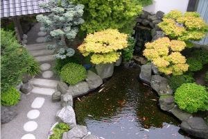 Creați o grădină japoneză de compoziții de fotografii, sfaturi pentru planificare și decorare