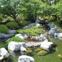 Fotó kompozíciók japán kertjének létrehozása, tippek a tervezéshez és a díszítéshez