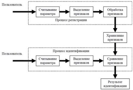 Structura sistemului de identificare a feței umane