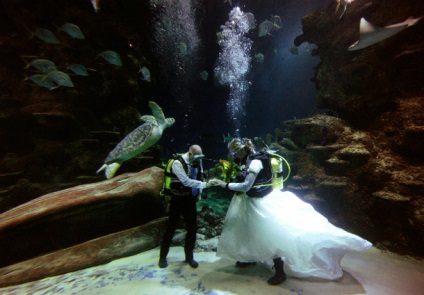 Nunta sub apă nu este doar o mașină!