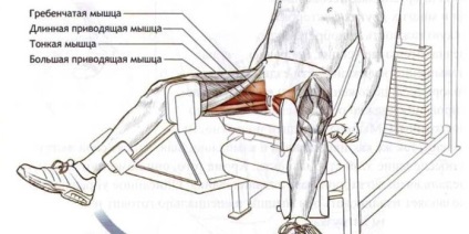 Reducerea picioarelor în simulator - ce funcționează mușchii și tehnica de a face exercițiul