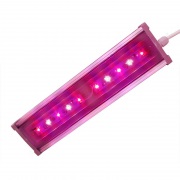 Becuri LED cu lumini LED