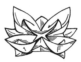 Схеми на оригами салфетки за цветята на масата и рози видео за маса
