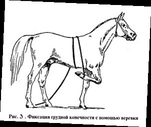 хирургия оборудване - почистване на конско копито