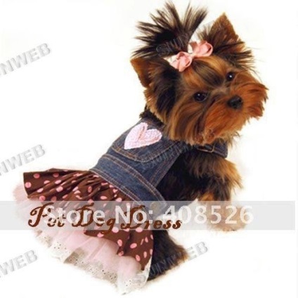 Rochie de probă pentru un câine mic, Yorkshire Terrier