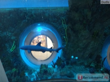SEC Óceánia, Moszkva - „hal lift, őr súroló babák, félig leeresztett léggömbök