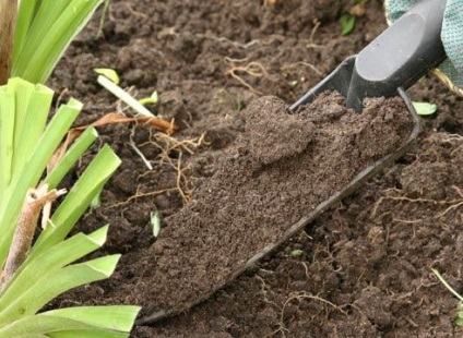 Fertilizarea solului prin îngrășăminte de pasăre