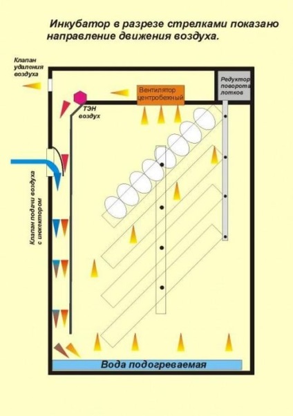 Ventilarea în incubator cu propriile mâini din spumă, din frigider