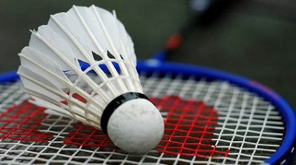 Alegerea unei rachete și a flush pentru joc badminton