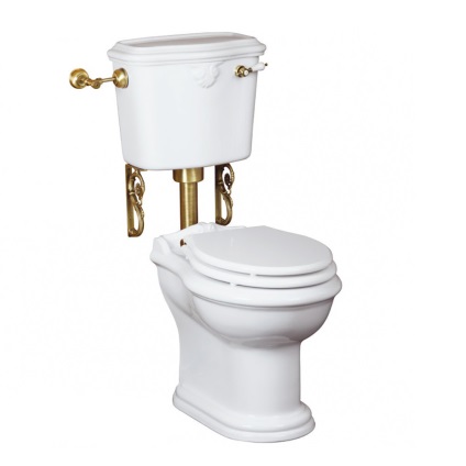 Tipuri de boluri de toaletă la eliberare, un canal de scurgere și un castron - ce fel de instalare de toalete se întâmplă