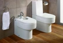 Tipuri de design prune castron toaletă, care sunt tipurile, fotografii de soiuri neobișnuite, deasupra bolului și