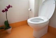 Tipuri de design prune castron toaletă, care sunt tipurile, fotografii de soiuri neobișnuite, deasupra bolului și