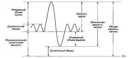 Respirația externă și volumul pulmonar