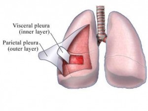 Respirația externă și volumul pulmonar