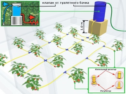 Alimentarea cu apă a serii este corectă