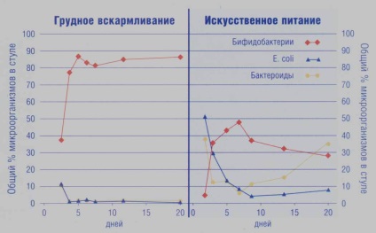 Modificări de vârstă în microflora intestinală - abstract, pagina 2