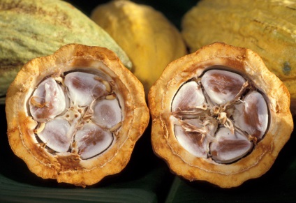 Ziua mondială de ciocolată! Cum se folosesc fructele cacao în cosmetologie