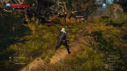 Totul despre locuri secrete - Witcher 3 Wild Hunt - Jocuri