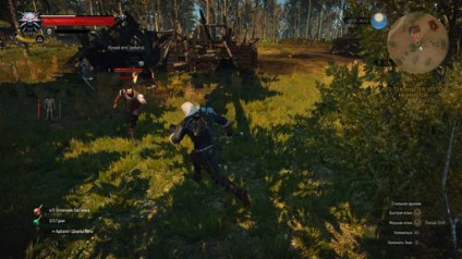 Totul despre locuri secrete - Witcher 3 Wild Hunt - Jocuri