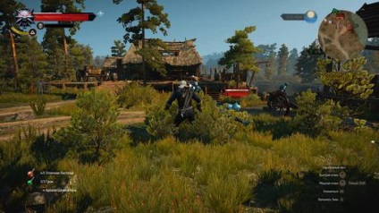 Totul despre locuri secrete - Witcher 3 Wild Hunt - Jocuri