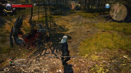 Totul despre locuri secrete - Witcher 3 Wild Hunt - Jocuri