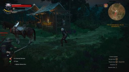 Totul despre locuri secrete - Witcher 3 Wild Hunt - Jocuri