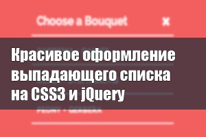 O fereastră pop-up cu un formular de abonament jquery, totul despre crearea site-urilor