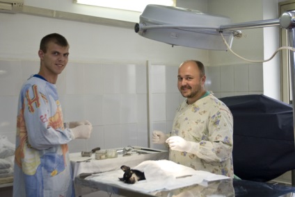Chirurgia animalelor în clinica belant, Moscova