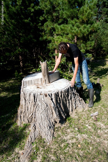 Sudul lacului Teletskoye, Altai 2014, note zilnice