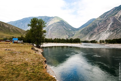 Sudul lacului Teletskoye, Altai 2014, note zilnice