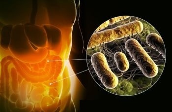 Által okozott betegségek Salmonella megvédjék magukat élelmiszer-eredetű megbetegedések