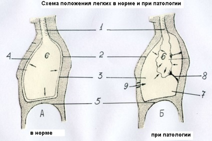 Sarcina numărul 2 - stadopedia