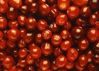 Blankuri de cowberries